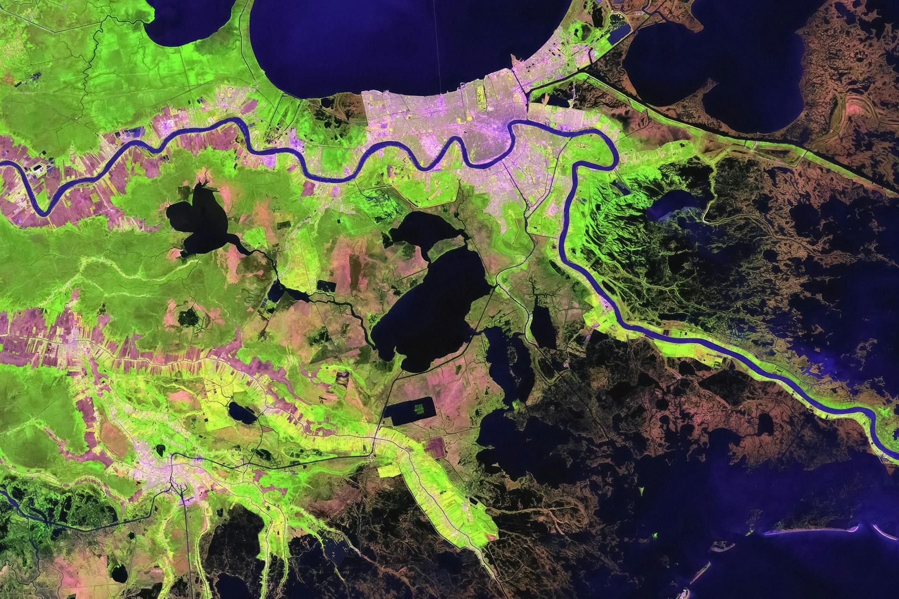 A satellite view of a branching river delta and coastal wetlands